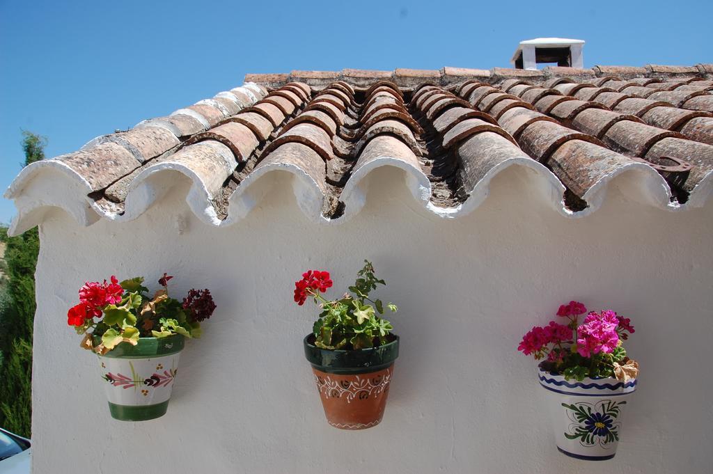 La Escuela del Campo Bed and Breakfast Setenil De Las Bodegas Exterior foto